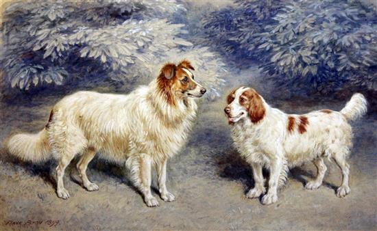 Frank Paton (1856-1909) Portrait of a collie and a spaniel, 11.5 x 18.5in.